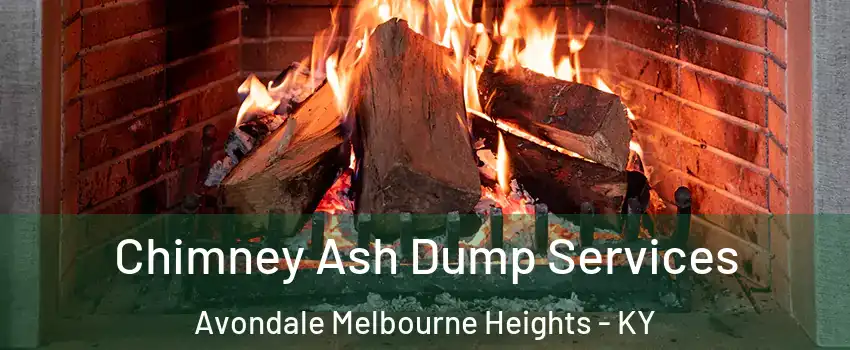 Chimney Ash Dump Services Avondale Melbourne Heights - KY