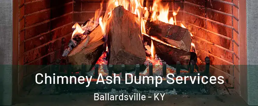 Chimney Ash Dump Services Ballardsville - KY