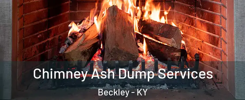 Chimney Ash Dump Services Beckley - KY