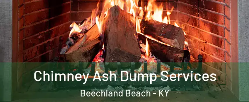 Chimney Ash Dump Services Beechland Beach - KY