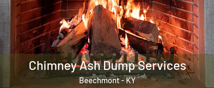 Chimney Ash Dump Services Beechmont - KY