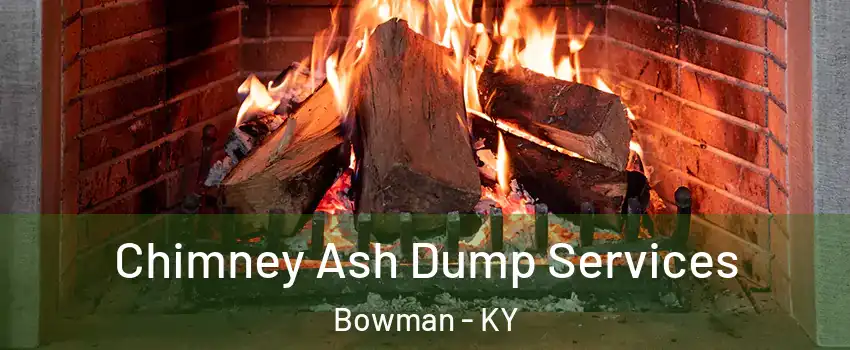 Chimney Ash Dump Services Bowman - KY