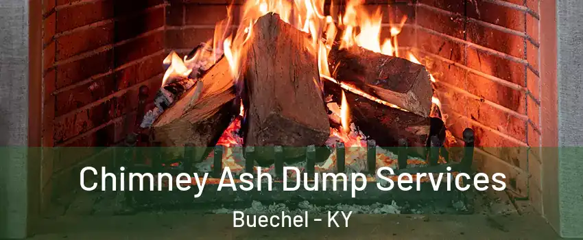 Chimney Ash Dump Services Buechel - KY