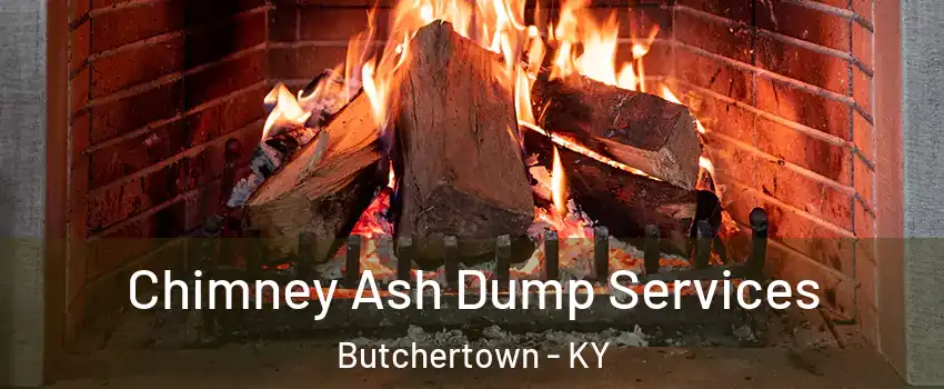 Chimney Ash Dump Services Butchertown - KY