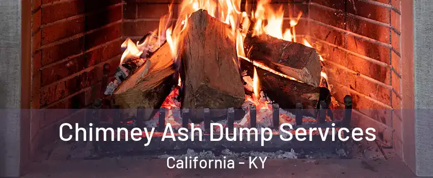 Chimney Ash Dump Services California - KY