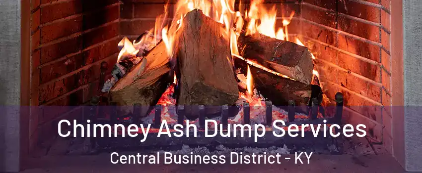 Chimney Ash Dump Services Central Business District - KY