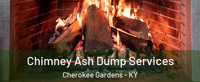 Chimney Ash Dump Services Cherokee Gardens - KY