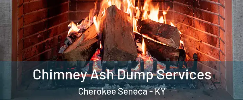 Chimney Ash Dump Services Cherokee Seneca - KY