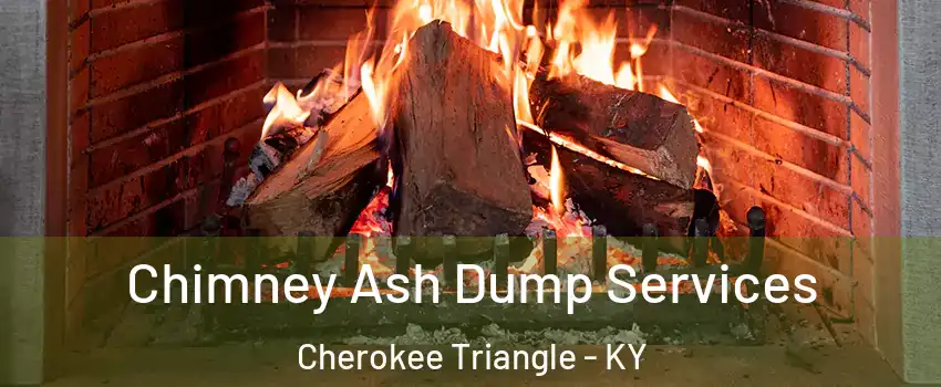 Chimney Ash Dump Services Cherokee Triangle - KY