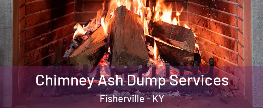 Chimney Ash Dump Services Fisherville - KY