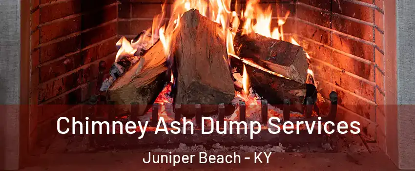 Chimney Ash Dump Services Juniper Beach - KY