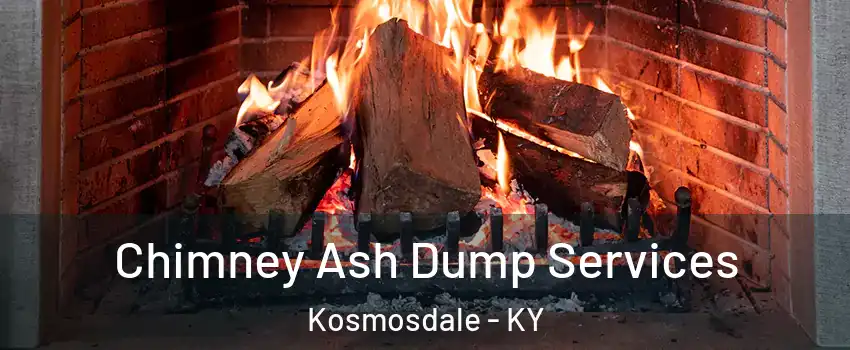 Chimney Ash Dump Services Kosmosdale - KY