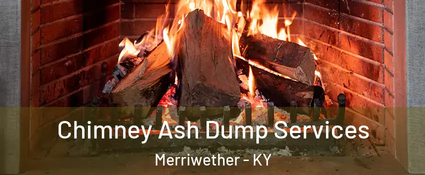 Chimney Ash Dump Services Merriwether - KY