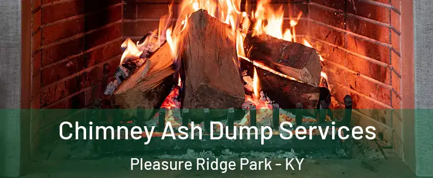 Chimney Ash Dump Services Pleasure Ridge Park - KY