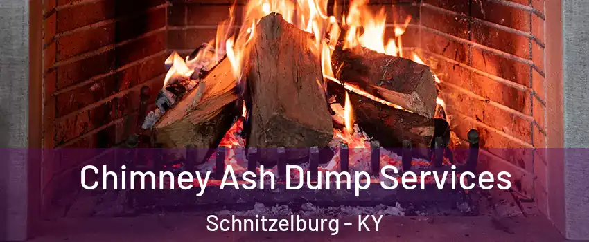 Chimney Ash Dump Services Schnitzelburg - KY