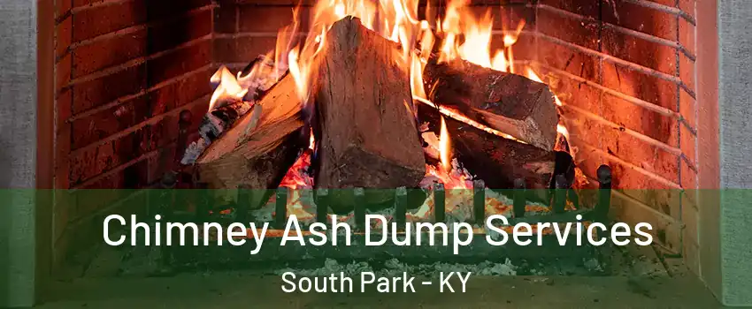 Chimney Ash Dump Services South Park - KY