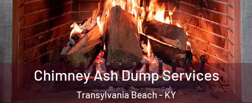 Chimney Ash Dump Services Transylvania Beach - KY