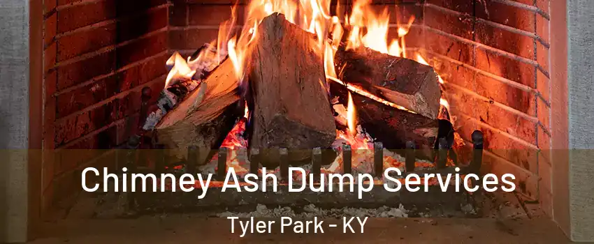 Chimney Ash Dump Services Tyler Park - KY