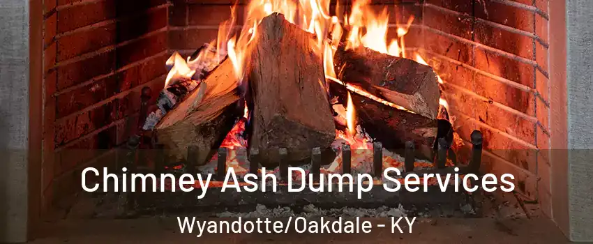 Chimney Ash Dump Services Wyandotte/Oakdale - KY