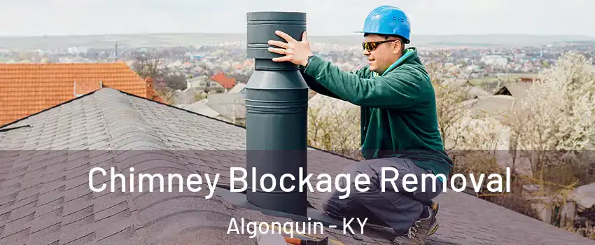 Chimney Blockage Removal Algonquin - KY