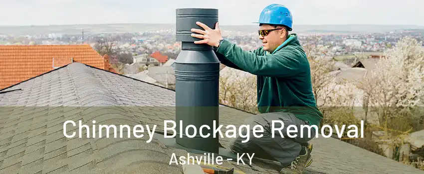 Chimney Blockage Removal Ashville - KY