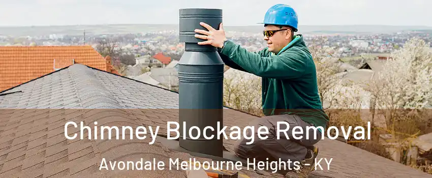 Chimney Blockage Removal Avondale Melbourne Heights - KY