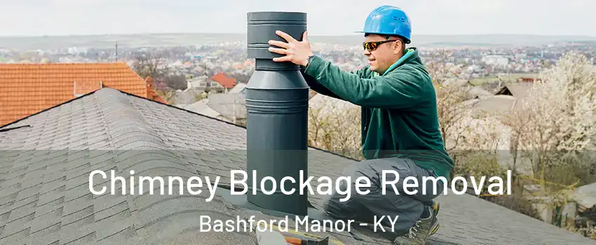 Chimney Blockage Removal Bashford Manor - KY