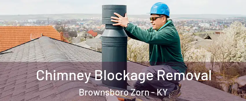 Chimney Blockage Removal Brownsboro Zorn - KY