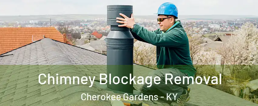 Chimney Blockage Removal Cherokee Gardens - KY