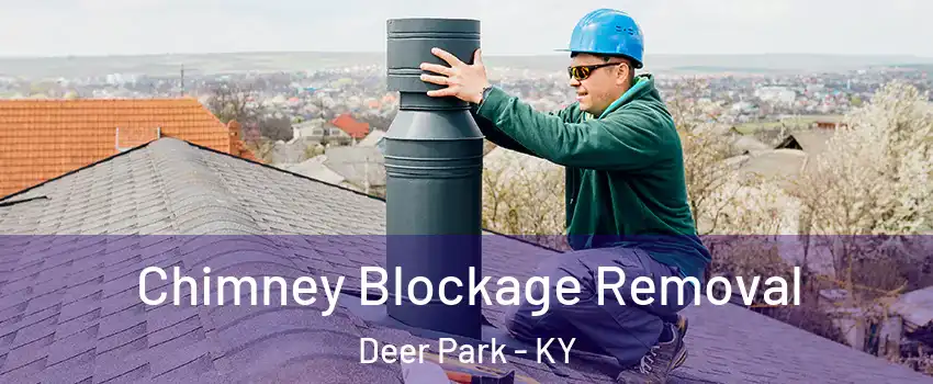 Chimney Blockage Removal Deer Park - KY