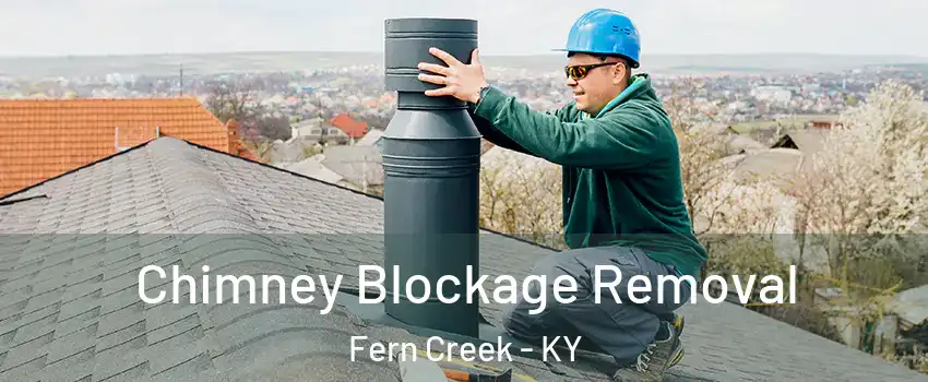 Chimney Blockage Removal Fern Creek - KY