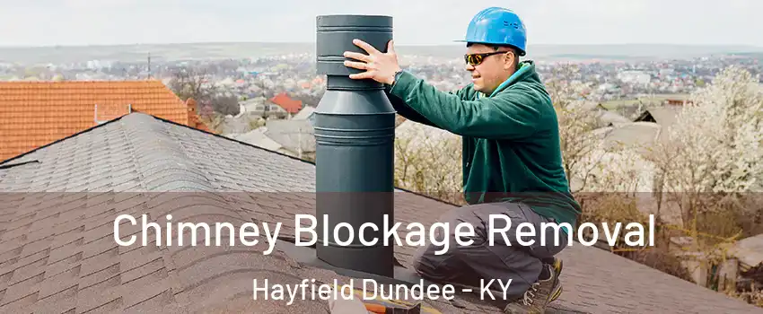 Chimney Blockage Removal Hayfield Dundee - KY