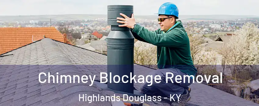 Chimney Blockage Removal Highlands Douglass - KY