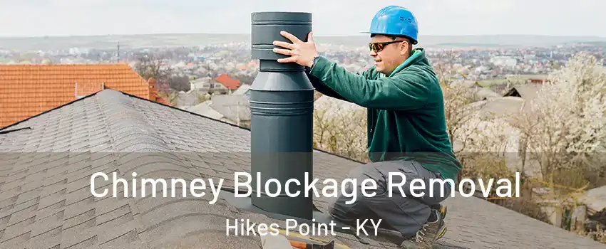 Chimney Blockage Removal Hikes Point - KY