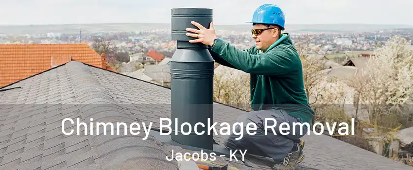 Chimney Blockage Removal Jacobs - KY