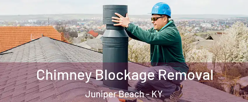 Chimney Blockage Removal Juniper Beach - KY