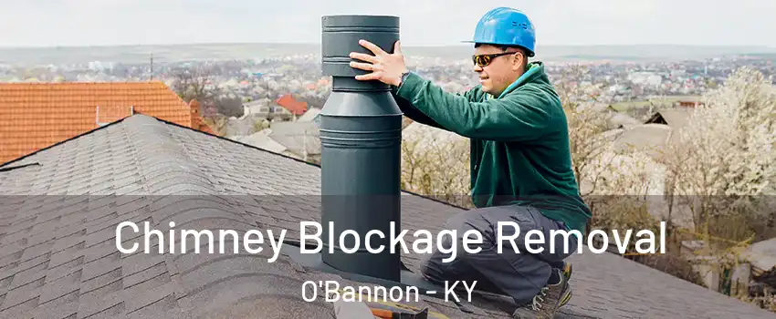 Chimney Blockage Removal O'Bannon - KY