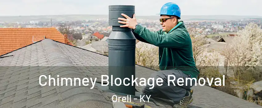 Chimney Blockage Removal Orell - KY