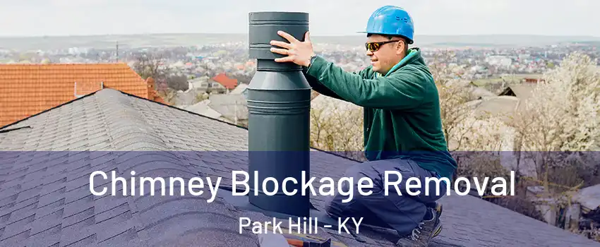 Chimney Blockage Removal Park Hill - KY