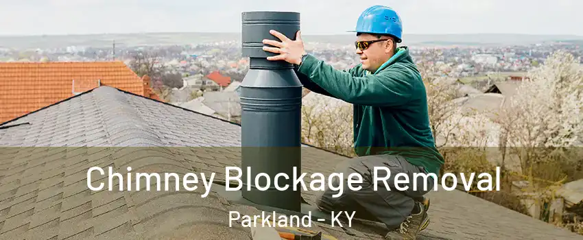 Chimney Blockage Removal Parkland - KY