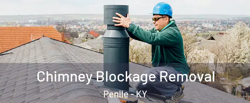 Chimney Blockage Removal Penile - KY