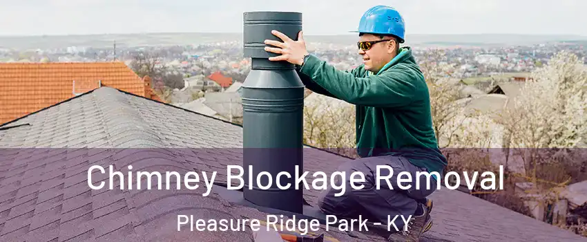 Chimney Blockage Removal Pleasure Ridge Park - KY