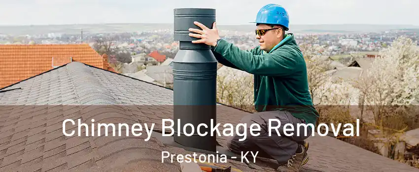 Chimney Blockage Removal Prestonia - KY