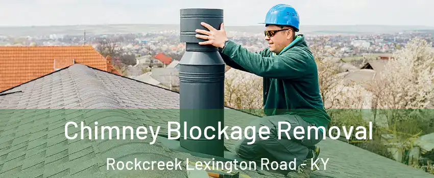 Chimney Blockage Removal Rockcreek Lexington Road - KY