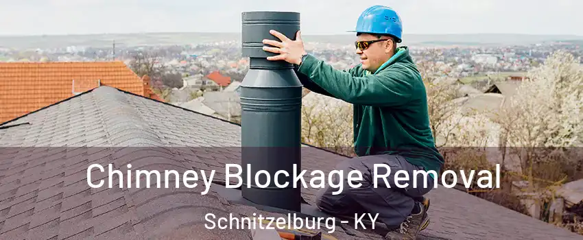 Chimney Blockage Removal Schnitzelburg - KY