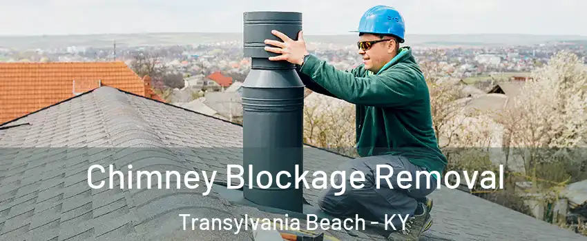 Chimney Blockage Removal Transylvania Beach - KY