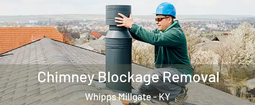 Chimney Blockage Removal Whipps Millgate - KY