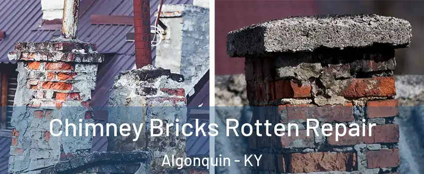 Chimney Bricks Rotten Repair Algonquin - KY