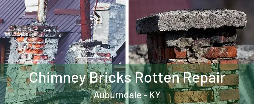 Chimney Bricks Rotten Repair Auburndale - KY