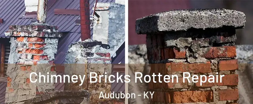 Chimney Bricks Rotten Repair Audubon - KY